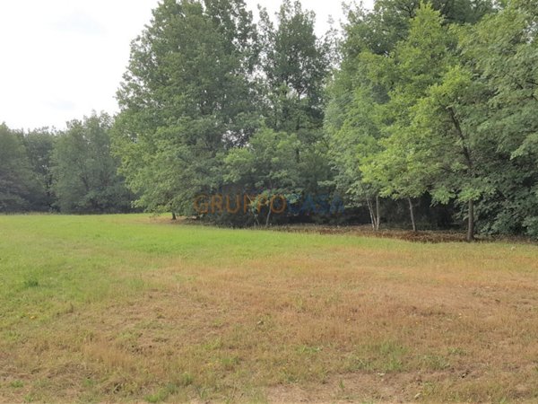 terreno agricolo in vendita ad Altopascio