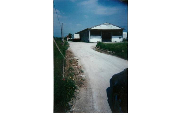 terreno agricolo in vendita ad Altopascio