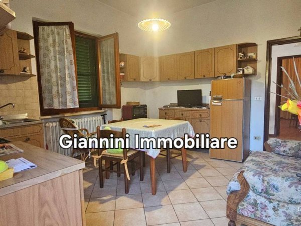 casa indipendente in vendita ad Altopascio in zona Badia Pozzeveri