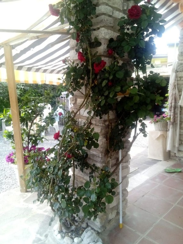 appartamento in vendita ad Altopascio in zona Badia Pozzeveri