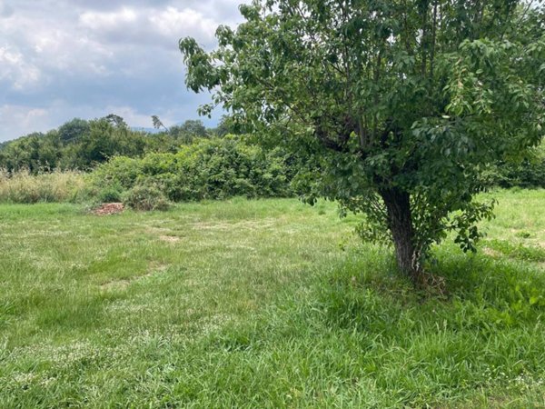 casa indipendente in vendita ad Altopascio in zona Badia Pozzeveri