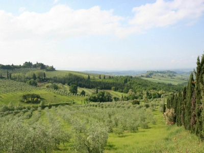 terreno agricolo in vendita a Bagni di Lucca