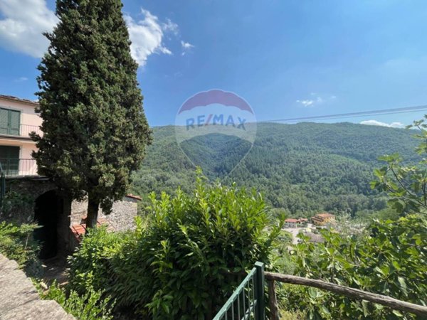 casa indipendente in vendita a Bagni di Lucca in zona Cocciglia