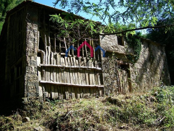 esavano in vendita a Bagni di Lucca in zona Benabbio