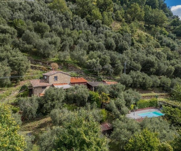 esavano in vendita a Bagni di Lucca
