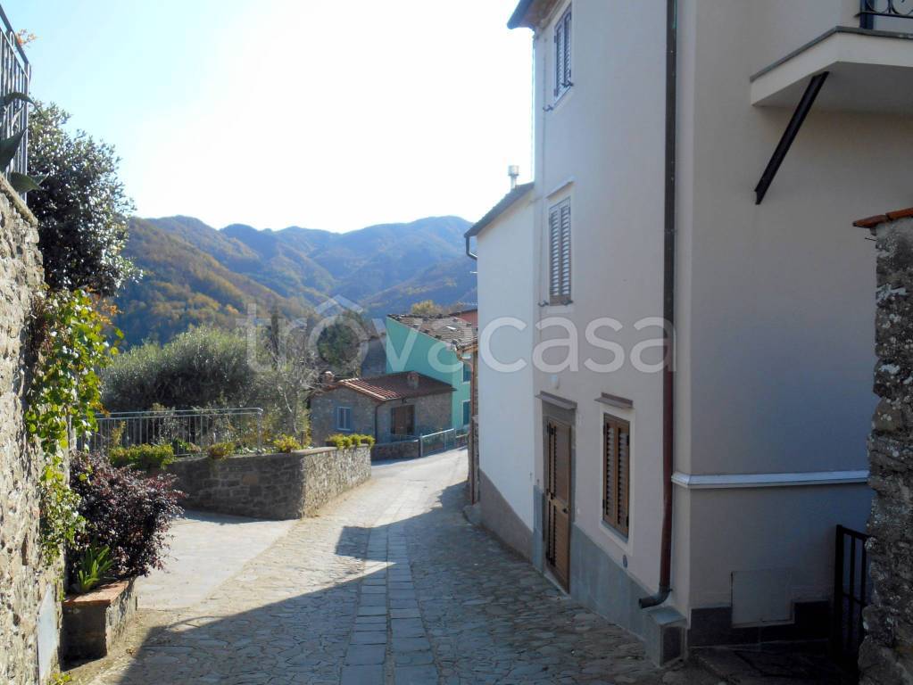casa indipendente in vendita a Bagni di Lucca