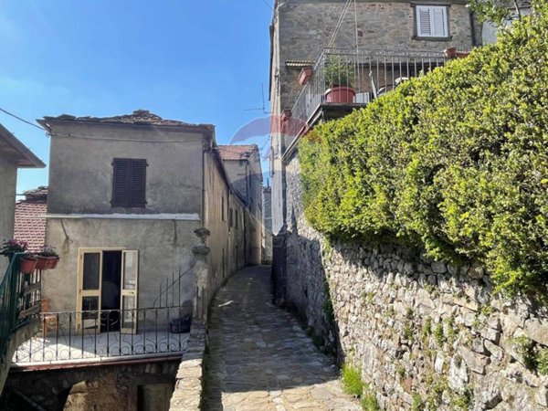 casa indipendente in vendita a Bagni di Lucca in zona Montefegatesi