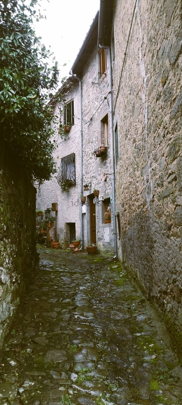 appartamento in vendita a Bagni di Lucca in zona Benabbio