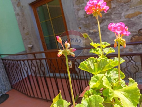 casa indipendente in vendita a Bagni di Lucca in zona San Gemignano