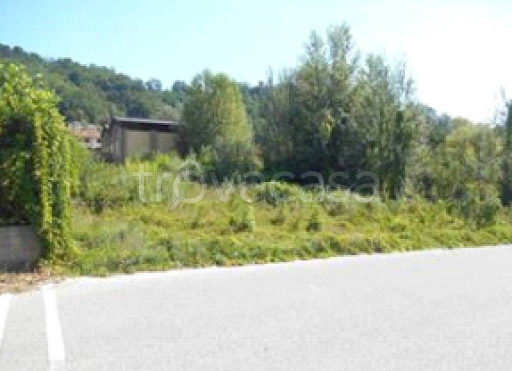 immagine annuncio 0 di 7