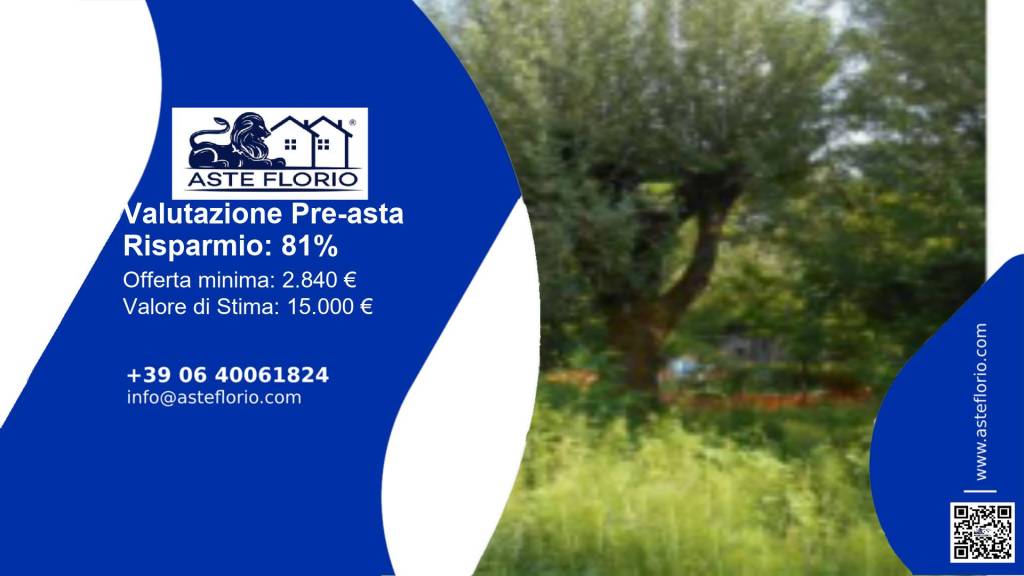 immagine annuncio 0 di 11