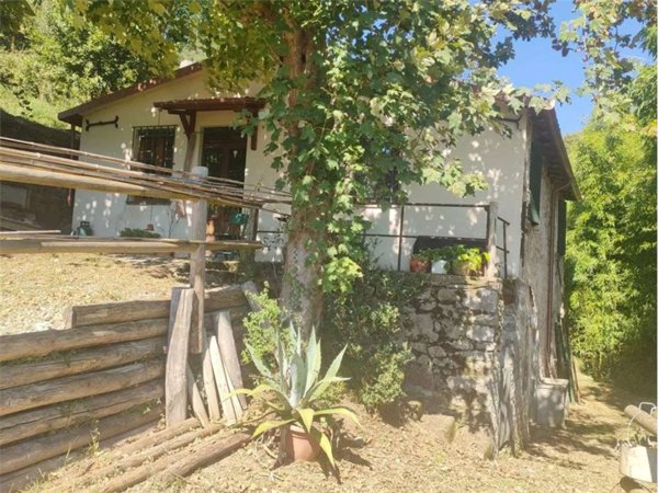 casa indipendente in vendita a Barga in zona Albiano