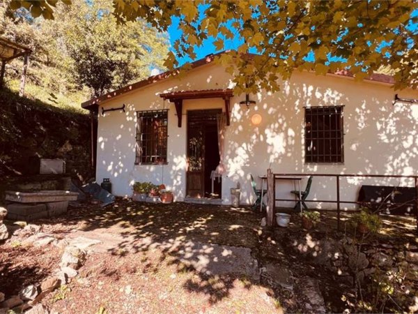 casa indipendente in vendita a Barga in zona Albiano