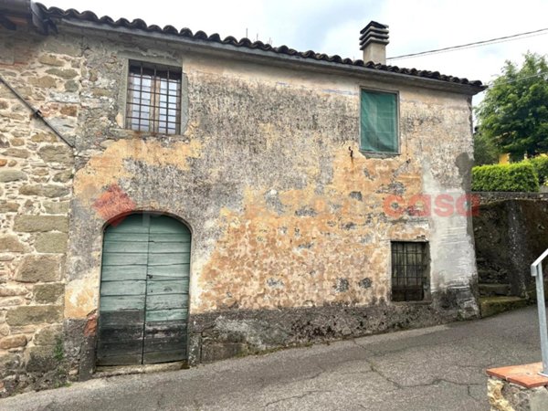casa indipendente in vendita a Barga in zona Filecchio
