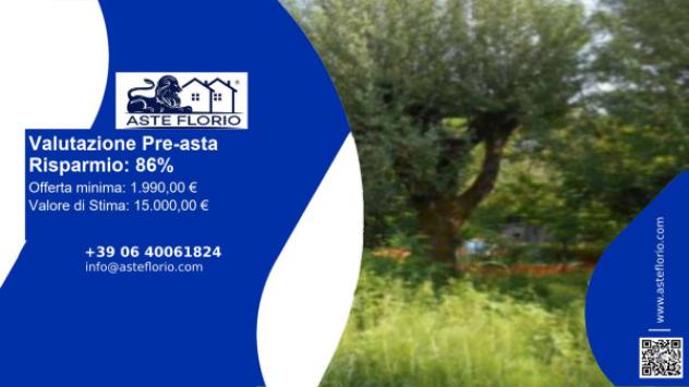 terreno agricolo in vendita a Barga in zona Fornaci di Barga