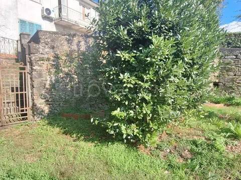 casa indipendente in vendita a Barga in zona Filecchio