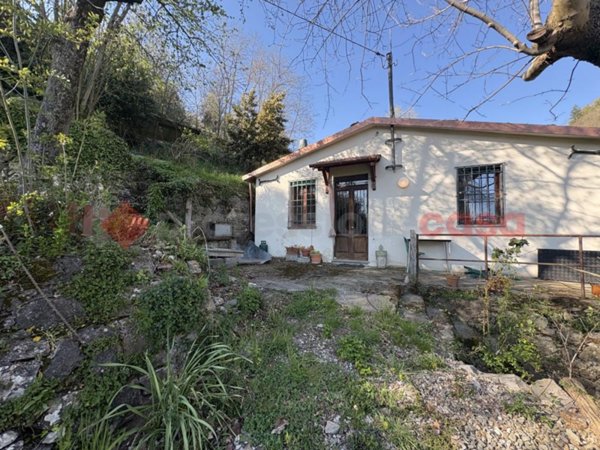 casa indipendente in vendita a Barga in zona Albiano