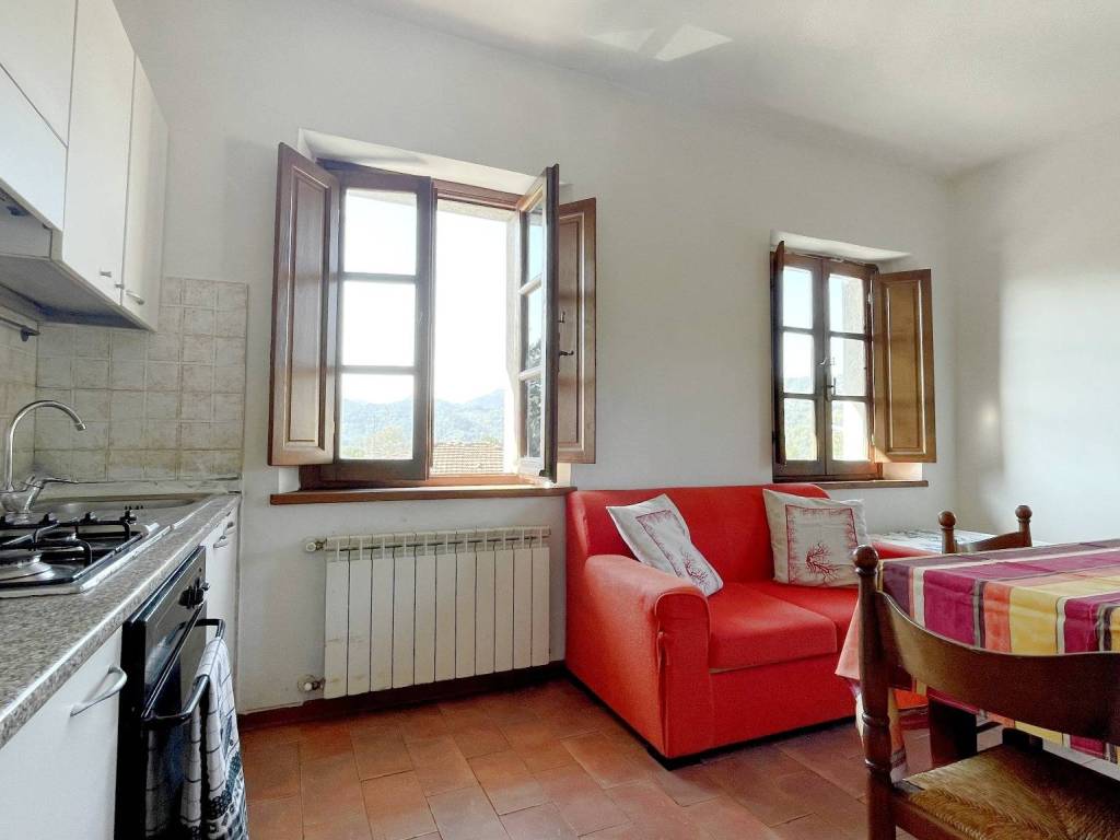 appartamento in vendita a Barga in zona Castelvecchio Pascoli