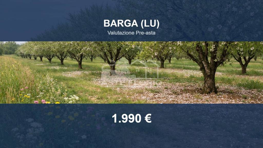 terreno agricolo in vendita a Barga in zona Fornaci di Barga