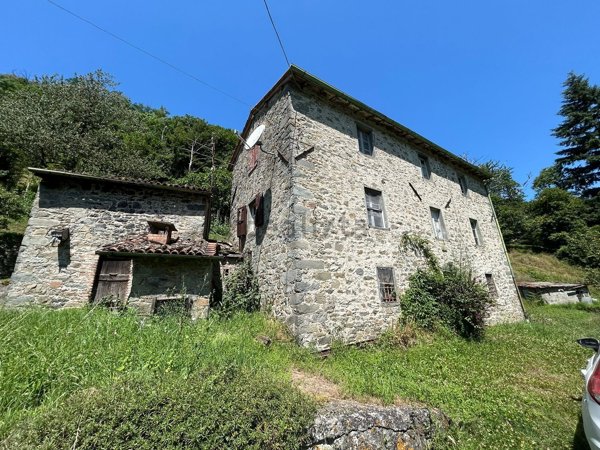 esavano in vendita a Barga in zona Sommocolonia