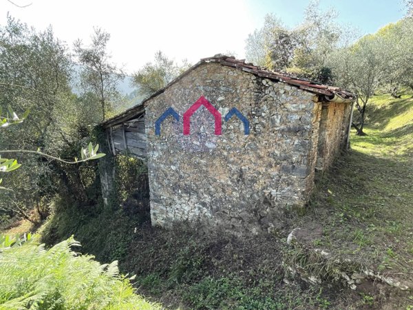 terreno agricolo in vendita a Borgo a Mozzano in zona Cune