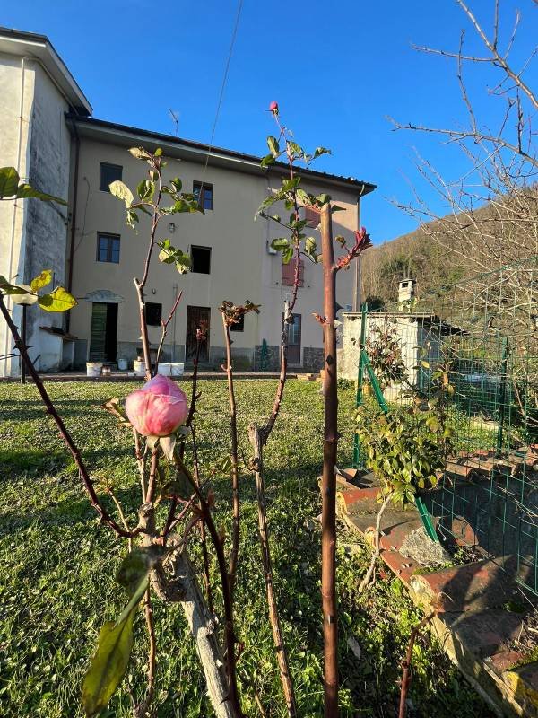 casa indipendente in vendita a Borgo a Mozzano in zona Domazzano