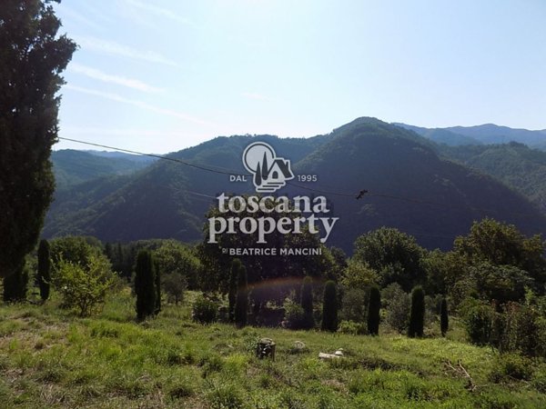 casa indipendente in vendita a Borgo a Mozzano