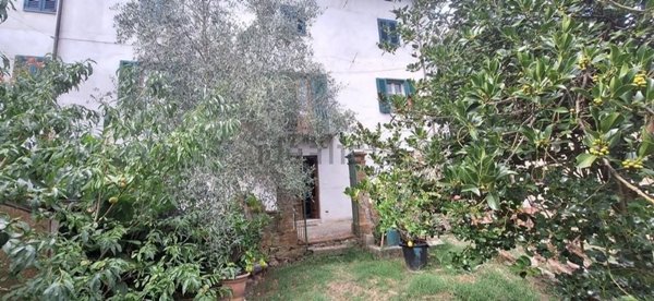 esavano in vendita a Borgo a Mozzano