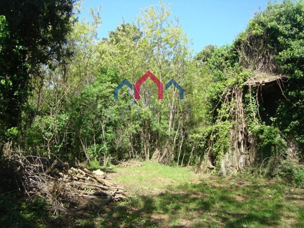 casale in vendita a Borgo a Mozzano in zona Corsagna