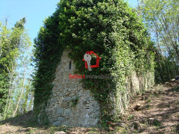 casa indipendente in vendita a Borgo a Mozzano in zona Corsagna