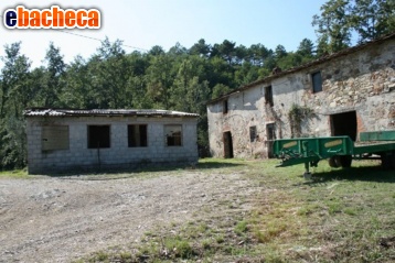 appartamento in vendita a Borgo a Mozzano in zona Domazzano