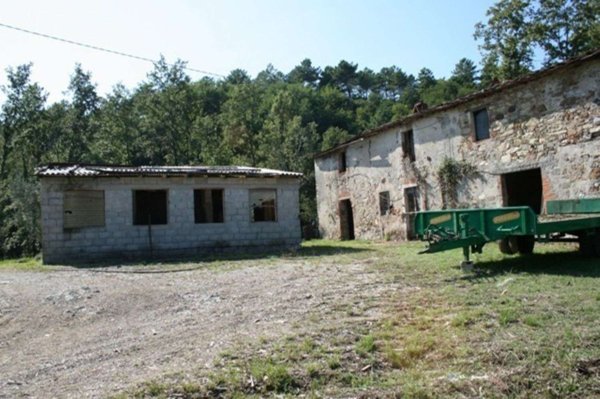 casa indipendente in vendita a Borgo a Mozzano in zona Domazzano