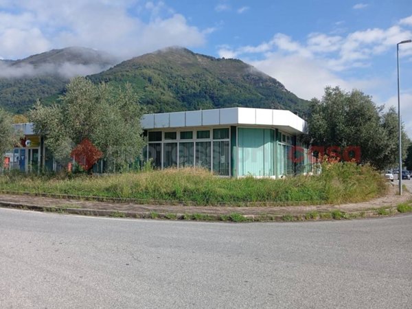 intera palazzina in vendita a Borgo a Mozzano in zona Diecimo