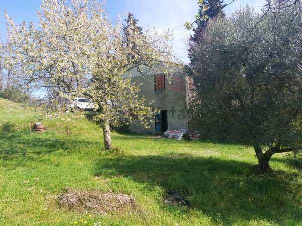 esavano in vendita a Borgo a Mozzano