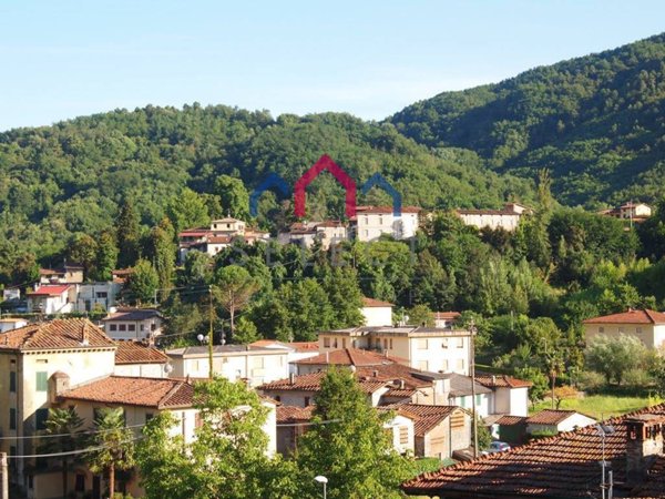 casa indipendente in vendita a Borgo a Mozzano in zona Valdottavo