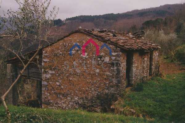 terreno agricolo in vendita a Borgo a Mozzano in zona Cune