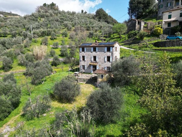 casa indipendente in vendita a Borgo a Mozzano in zona Valdottavo