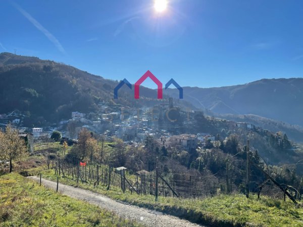 casa indipendente in vendita a Borgo a Mozzano in zona Corsagna
