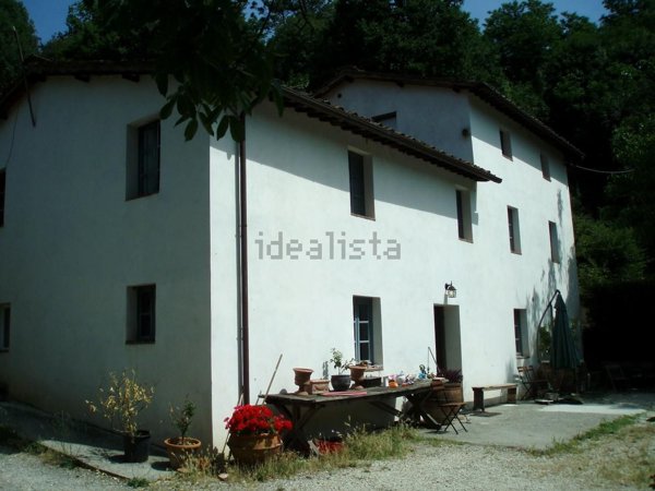 esavano in vendita a Borgo a Mozzano