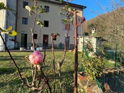 casa indipendente in vendita a Borgo a Mozzano in zona Domazzano