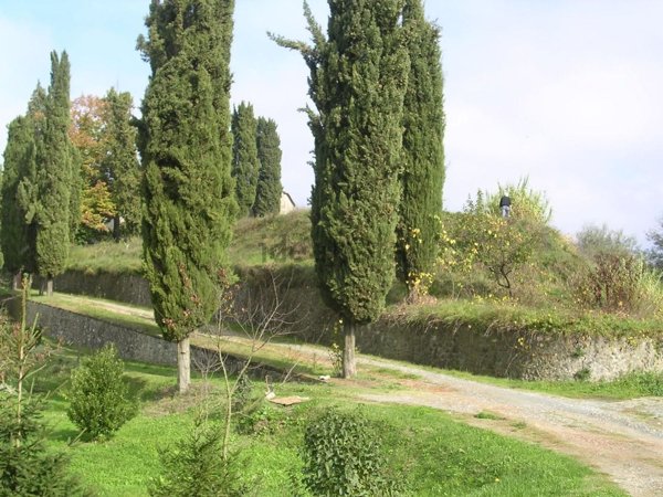 immagine annuncio 0 di 1