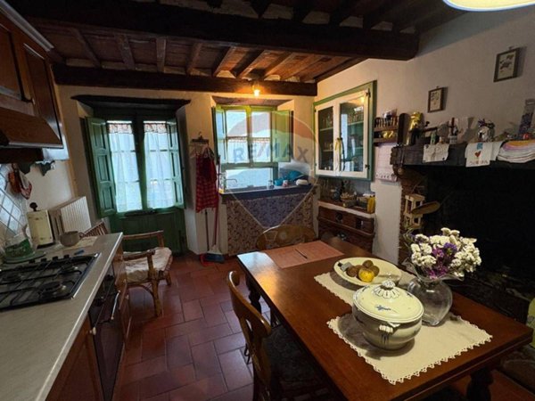 casa indipendente in vendita a Borgo a Mozzano in zona Partigliano