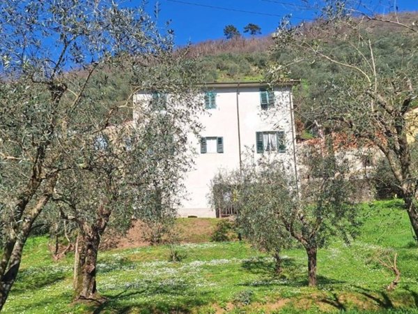 appartamento in vendita a Borgo a Mozzano