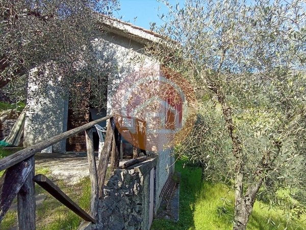casa indipendente in vendita a Borgo a Mozzano in zona Valdottavo