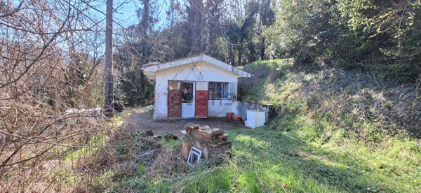 appartamento in vendita a Borgo a Mozzano