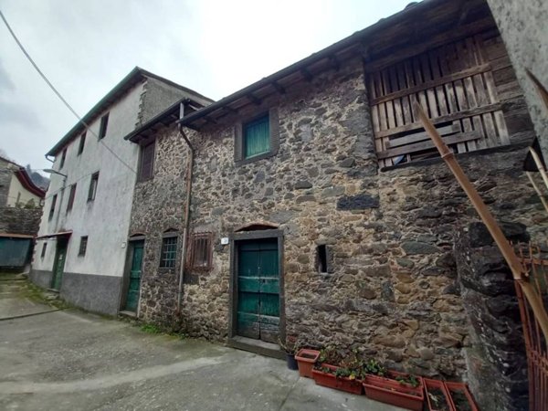 casa indipendente in vendita a Borgo a Mozzano in zona Corsagna