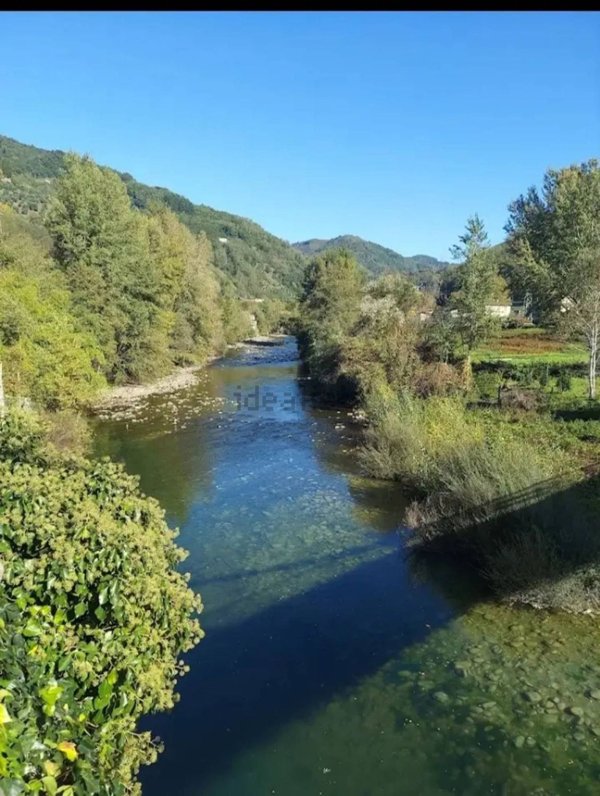 appartamento in vendita a Borgo a Mozzano