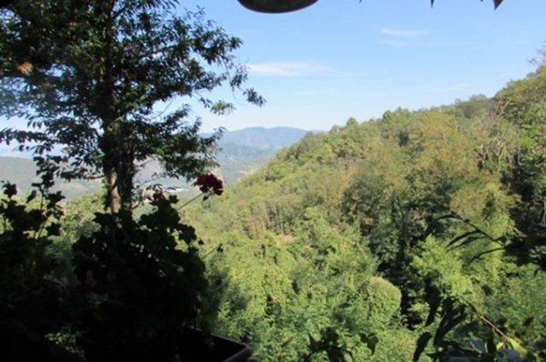 appartamento in vendita a Borgo a Mozzano
