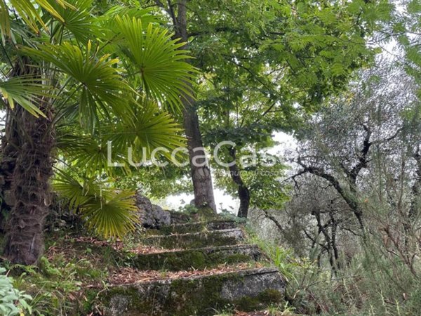 casa indipendente in vendita a Borgo a Mozzano