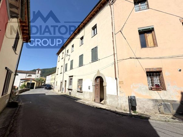 casa indipendente in vendita a Borgo a Mozzano in zona Diecimo